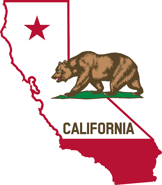 california-bear